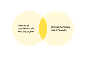 Diagramme Fit culturel fit entre valeurs et aspirations de la compagnie et comportements observés chez les employés