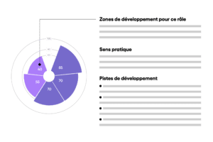 Rapport prédicteur de performance avec les zones de développement et conseils pratiques